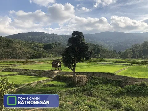 Kinh nghiệm đầu tư đất nền Lâm Đồng từ người trong cuộc