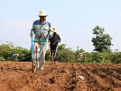 Phạt tới 150 triệu đồng nếu tự ý san lấp đất nông nghiệp