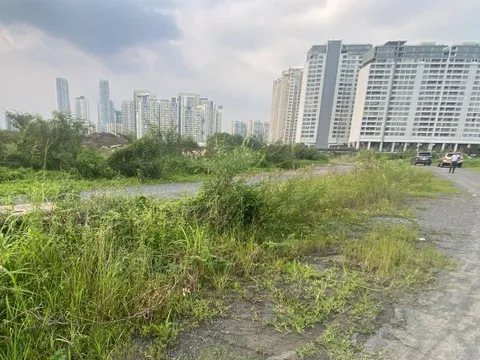 Các doanh nghiệp bất động sản đồng loạt cầu cứu