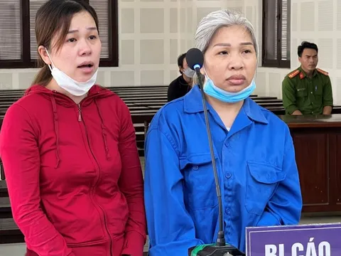 Cò đất tố nhau ‘cắt cò’ khi vỡ lở đường dây chạy đất trồng lúa thành đất ở