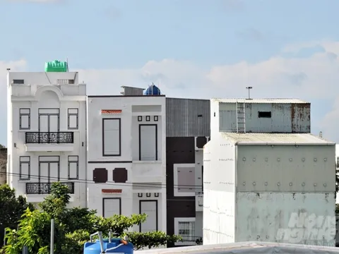 Chim yến 'hụt hơi' khiến nhiều nhà dẫn dụ không còn hiệu quả