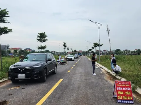 Nhu cầu tìm kiếm đất nền tăng mạnh hơn chung cư