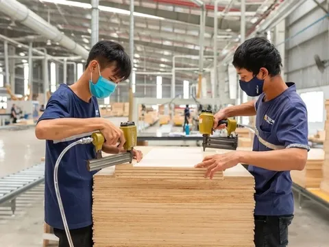 Nhiều doanh nghiệp TP.HCM không còn tài sản thế chấp để vay vốn