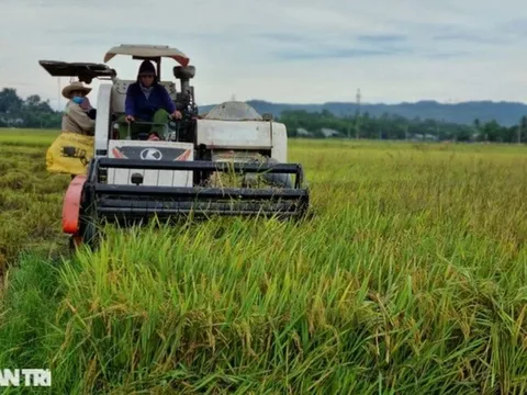 Những quy định về bồi thường khi Nhà nước thu hồi đất nông nghiệp