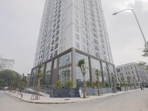 Chủ đầu tư Rose Town cam kết hoàn thành dự án đúng tiến độ