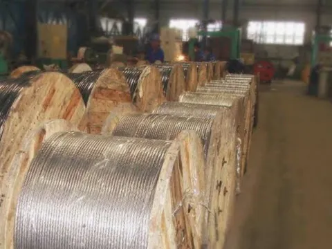 Công an TP.HCM truy tìm Chủ tịch HĐQT Công ty Tân Cường Thành liên quan lừa đảo