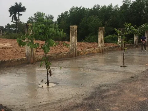 Bán đất Củ Chi gần sông Sài gòn  giá rẻ