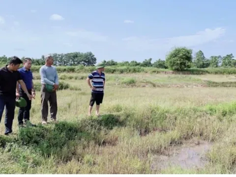 Đề xuất cho chuyển 21 dự án có đất lúa tại Tp.HCM sang làm nhà ở