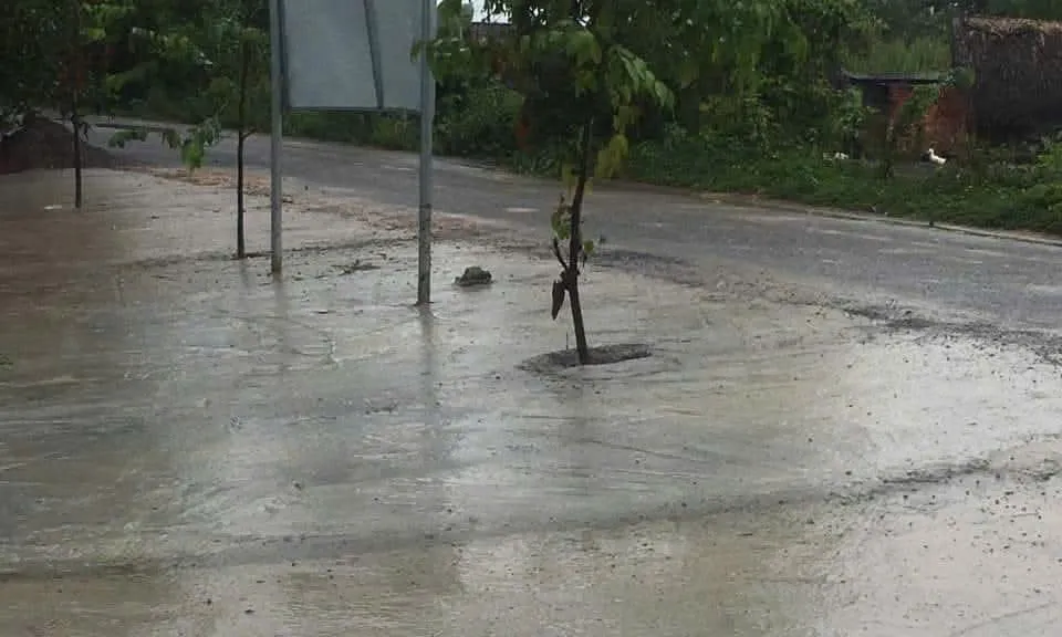 BÁN ĐẤT CỰC HIẾM MẶT TIỀN NHƯA CÁ LĂNG, PHÚ HÒA ĐÔNG – CỦ CHI 